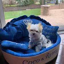 Maybe you would like to learn more about one of these? Navy Blue And Cream Personaized Dog Bed With Crown Sparkles Etsy In 2021 Dog Beds For Small Dogs Personalized Dog Beds Pet Beds Cat