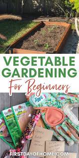 Vegetable Gardening For Beginners Everything You Need To Know Gardening For Beginners Vegetable Garden For Beginners Vegetable Garden Design