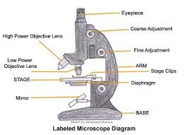 Understanding The Compound Microscope Parts And Its Functions Microscope Parts Science Fair Projects Microscopic