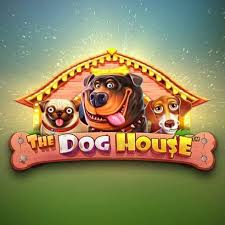 Dog House
