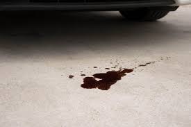 We did not find results for: Minyak Enjin Sintetik Tidak Bagus Untuk Kereta Lama Wapcar