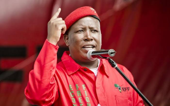 Malema challenges Africans on unity, as Sultan bemoans purchase of justice  – Daily Trust