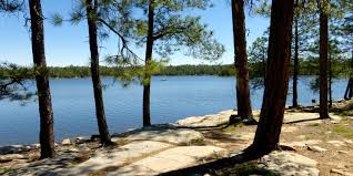 The campground is laid out in 6 loops and includes 4 double sites that can accommodate up to 16 people each. Payson Az Lakes For Fishing Camping Hiking