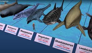 Megalodon shark facts and information: Just How Big Were Those Ancient Sea Creatures Bare Sports