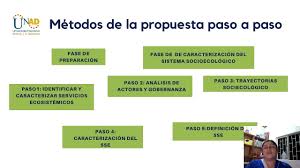 La otra fase aun, aunque se continuara con ella, no sería, así que si se modificó, ¿por qué no conocemos a detalle que es lo que se propone en su lugar? Paso 5 Conclusiones Youtube