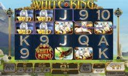 If you choose to play free casino download ignition casino apk games download ignition casino apk you decide what you want to play, maybe some free spin at the roulette or dice some free time to have an entertaining day, there would not be wrong? Ignition Casino Mobile Download Ignition Poker App
