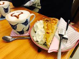 Find a coffee cat near you or see all coffee cat locations. The Cat Cafes Of Berlin The Neighbor S Cat