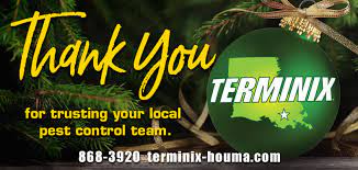 Terminix is one of the oldest players in the pest control game, starting in 1927 with a sole focus on protecting homes against termites. Terminix Pest Control Inc Startseite Facebook