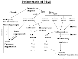 Figure 1 From Meconium Aspiration Syndrome The Core Concept Of Pathophysiology During Resuscitation Semantic Scholar