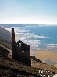Image result for Wheal