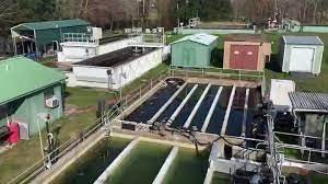 Holley Navarre Water System Santa Rosa Inch Closer To Wastewater Plan