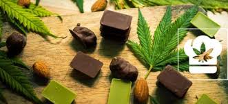 Comment Faire Du Lait Au Cannabis Zamnesia Blog