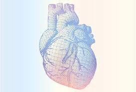 New Management Pathways In Cardiovascular Risk Factors Healthmanagement Org