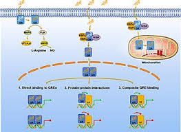 Don't want to leave the house anxiety is so bad. Methylprednisolone Wikipedia