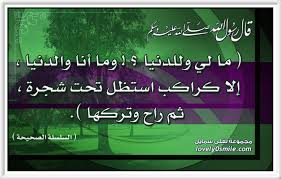 لاتجعل الشبكة تقودك الى النار ولكن اجعلها تسوقك الى الجنة شبكة الدفاع عن السنة