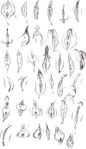 Как Нарисовать Хентай (19 Фото)