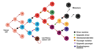 It aims to determine how color evokes feeling. The Digital Age Of Cancer Diagnostics The Dna Universe Blog