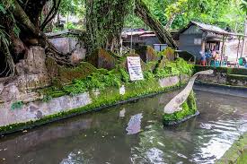 Mancing Ikan Di Sini Bisa Dipenjara Atau Didenda Rp 6 Juta Halaman All Kompas Com