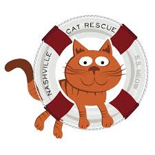 Maybe you would like to learn more about one of these? Nashville Cat Rescue The Catio Nashville Tn