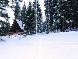 This homeowner transformed this outdated lake cabin retreat into the ultimate winter wonderland with rustic elements, minimalist design, and tons of fresh greenery. 10 Cozy Lake Tahoe Cabins To Rent This Winter Bon Traveler