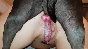 Girl xnxx with dog