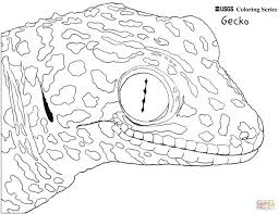 Coloring should be done regularly in order to encourage focus and. 27 Brilliant Image Of Gecko Coloring Page Albanysinsanity Com Coloring Pages Cool Coloring Pages Cute Gecko