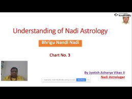 Nadi Astrology Bhrigu Nandi Nadi Chart 3 Youtube