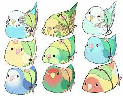 Ma Lovely Lovebirds Cute Animal Drawings Animal Drawings Cute Art