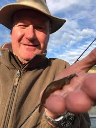 Ilfracombe Pier Archives