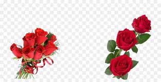 The image can be easily used for any free creative project. Gambar Png Bunga Mawar