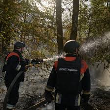 2024 was a record-breaking year for ...