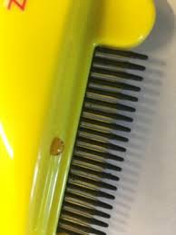 Skip to main search results. Stv Zero In Flea Killer Comb Online Only Pets At Home