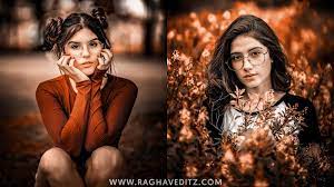 Free lightroom presets wedding · lightroom presets for portraits. Moody Orange Lightroom Mobile Presets Free Download