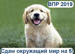 гдз по впр 4 класс окружающий мир волкова 2019 Vpr Okruzhayushij Mir 4 Klass 2019 Trenirovochnye Varianty S Otvetami V Poiskah Luchshego