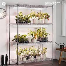 We did not find results for: Ge Lighting 93101227 Led Grow Light 24 Inch 2ft Fixture Red Reproductive Spectrum 24 In Home Improvement Amazon Com