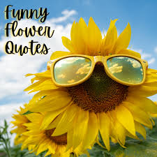 You cannot assess it with the static yardstick of a limited time frame. Funny Flower Quotes And Sayings To Include With A Bouquet Holidappy