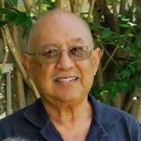 Daniel S. Mina Obituary