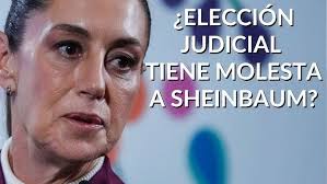 Tragaluz con Edna Jaime, politóloga y directora de México Evalúa