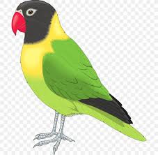 You are free to edit, distribute and use the images for unlimited commercial purposes without asking permission. Bird Clip Art Png 700x800px Bird Beak Budgerigar Common Pet Parakeet Fauna Download Free