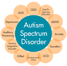 These problems can be mild, severe, or somewhere in between. Autism