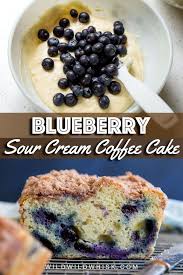 Bisquick Blueberry Coffee Cake Sour Cream Blueberry Coffee Cake Recipe Easy Cake Recipes Sour Cream Coffee Cake Coffee Cake