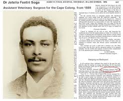 DR JOTELLO FESTIRI SOGA