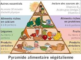 Pyramide Alimentaire Regime Vegetarien Pour Maigrir Pyramide Alimentaire Aliments Riches En Calcium