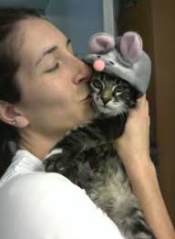 Contact Our Kirtland Veterinarians