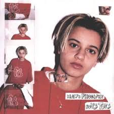 Dixie Burner-Sanfter Terrorismus-LP (Vinyl)