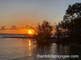 Coucher De Soleil Port Louis Port Louis Sunset Outdoor
