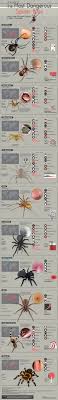 This neurotoxic protein is one of the most potent. Pin On Infographics