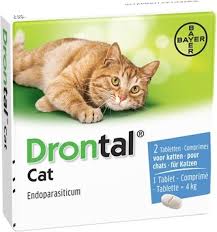 Lungworms reside in a cat's lungs and are a less common parasite. Drontal Cat 2 Tablets Drontal Cat Worming Tablet Works With A Single Dose And Kills All The Common Intestinal Worms Found In Cats For The Treatment Of Gastrointestinal Roundworms