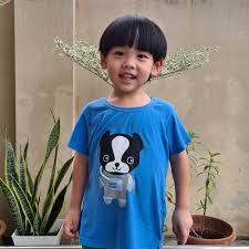 Image result for Terminalia tricristata