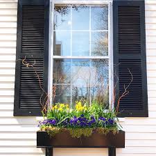 Find photos of chestnut flowers. Nantucket Window Boxes Compass Rose Real Estate Inc